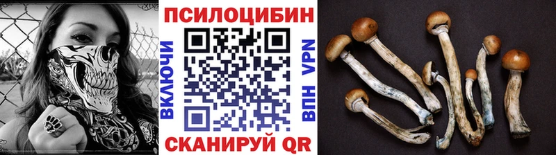 Купить закладки  Курлово  Псилоцибиновые грибы ЛСД 